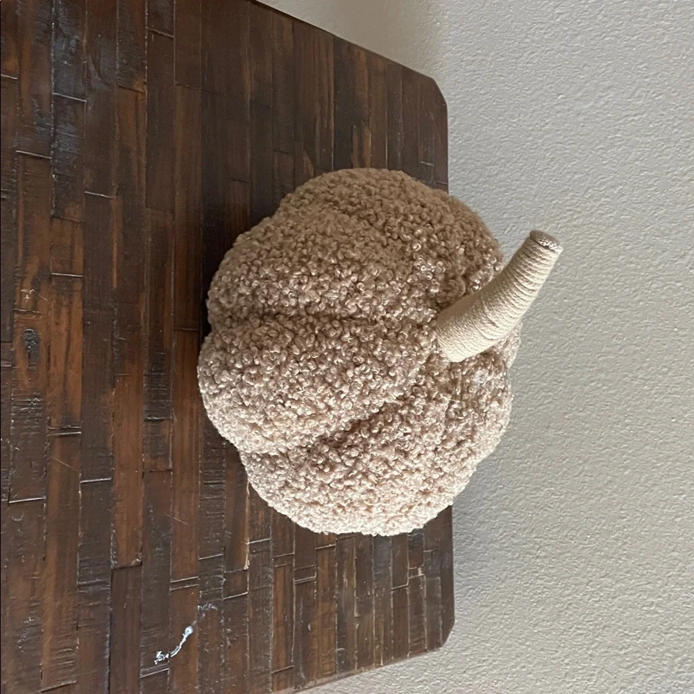 Target Textured Beige Pumpkin Decor